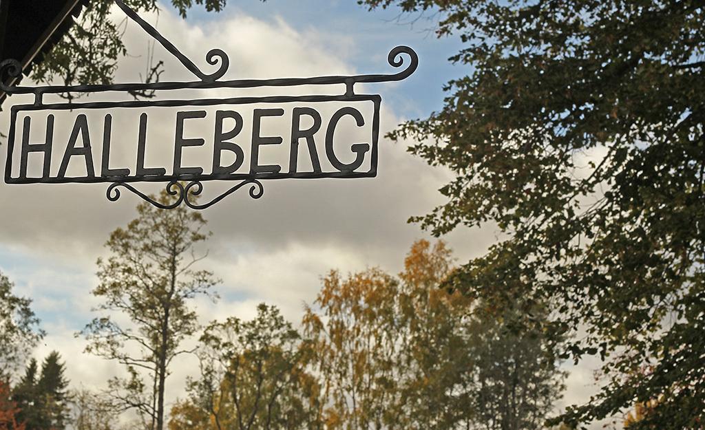 Hallebergs Bed&Breakfast Скара Экстерьер фото